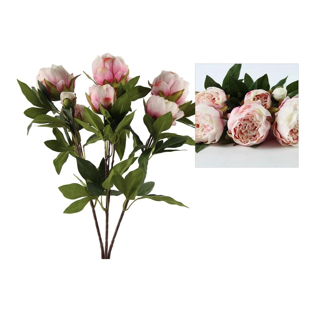 Countryfield Paeonia Rosa Roze