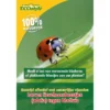 Ecostyle Larven Van Lieveheersbeestje 5 M²