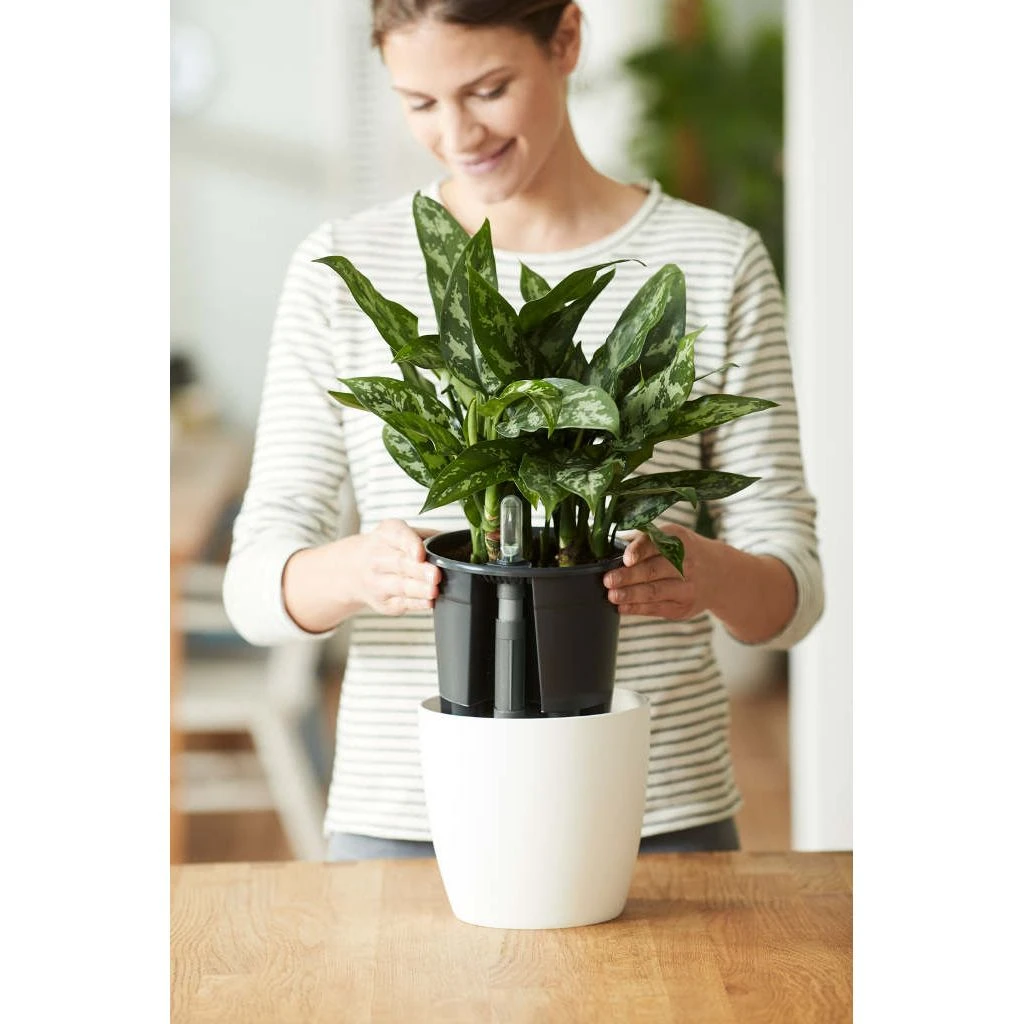 Elho Self-watering Insert 44 Living Black - Afbeelding 2