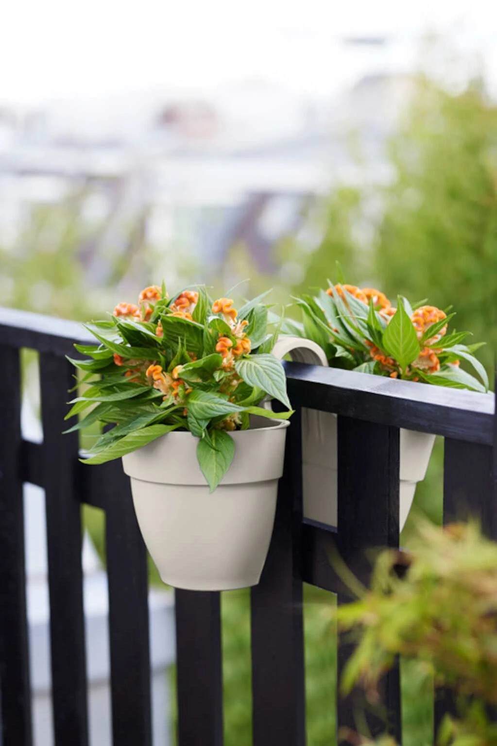 Elho Vibia Campana Flower Twin 21 Zijdewit - Image 4