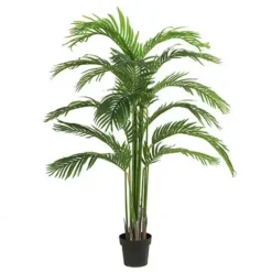 Mica Areca Zijde 160 Cm Groen