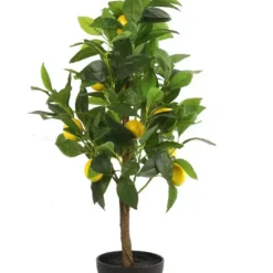 Mica Citrus Limon Zijde 75 Cm Geel