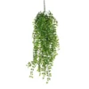 Mica Ficus Hang 81 Cm