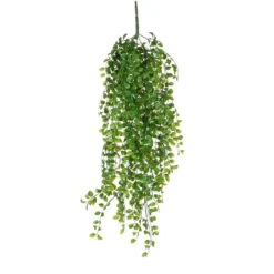 Mica Ficus Hang 81 Cm