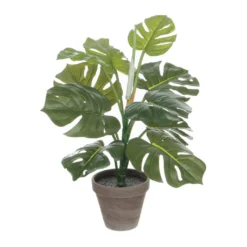 Mica Monstera Groen