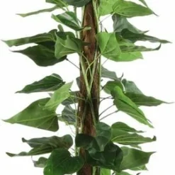 Mica Philodendron 140 Cm Groen
