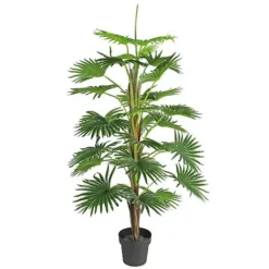 Mica Washingtonia 150 Cm Groen