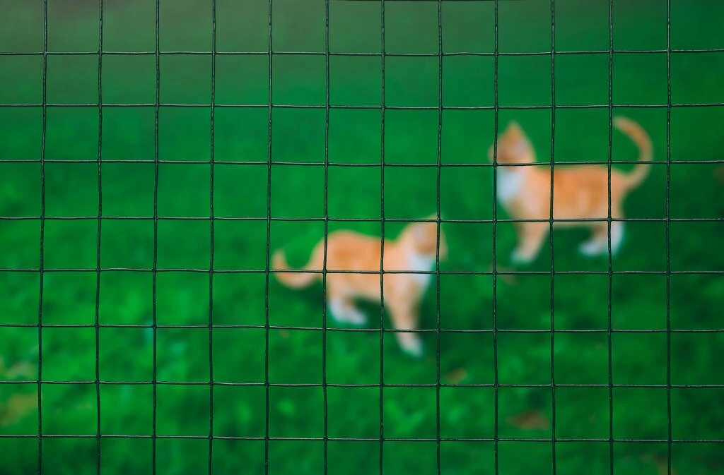 Nature Gaas Vierkant Geplastificeerd 50 Cm X 5 Meter