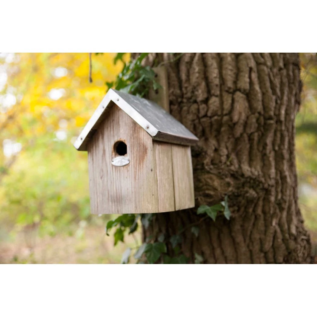 ESSCHERT DESIGN Pimpelmees Vogelhuisje - Image 2