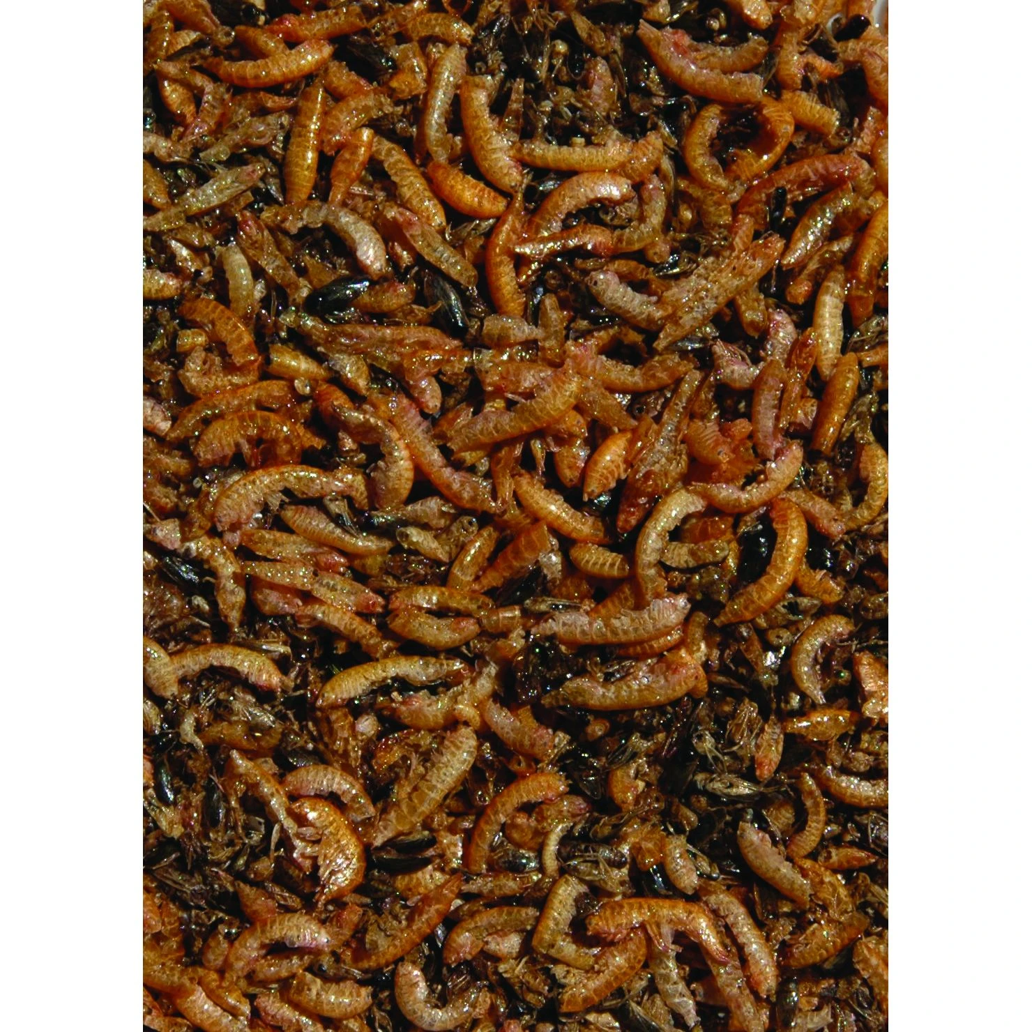Velda Nature Fish Food 260 Gram - Image 2