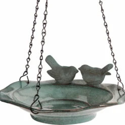 Vogelbescherming Waterschaal Traunsee Groen